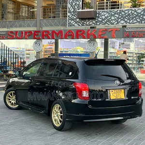 Toyota Corolla Fielder 2007 Black