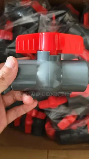 Cage Gate Valve