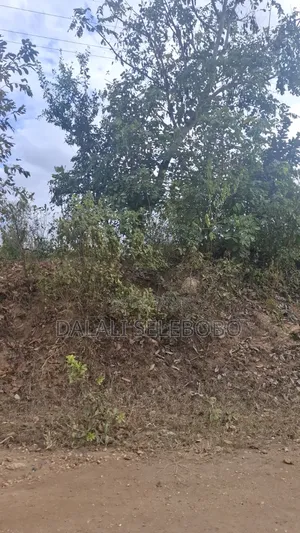 Plot 4 Gold Mining Hector 9 at Dodoma Bahi