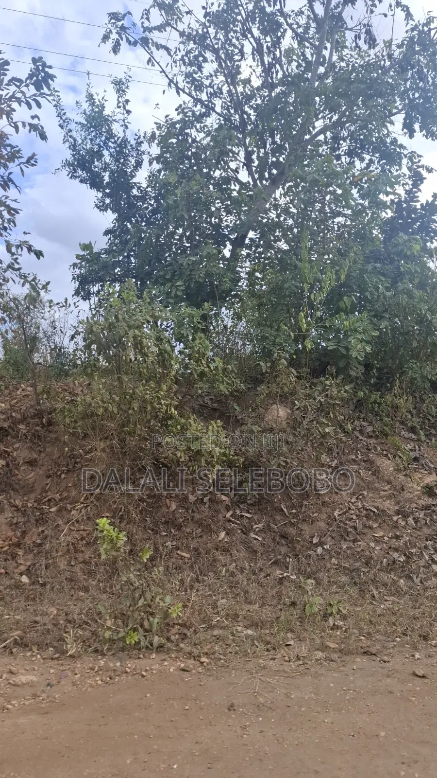 Plot 4 Gold Mining Hector 9 at Dodoma Bahi