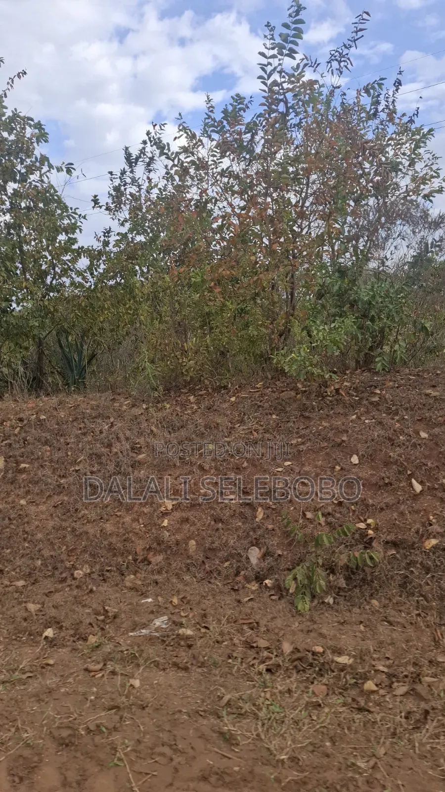 Plot 4 Gold Mining Hector 9 at Dodoma Bahi