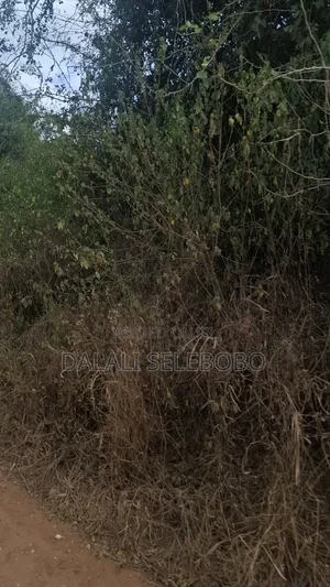Plot 4 Gold Mining Hector 9 at Dodoma Bahi