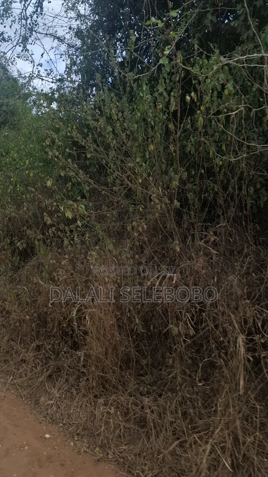 Plot 4 Gold Mining Hector 9 at Dodoma Bahi