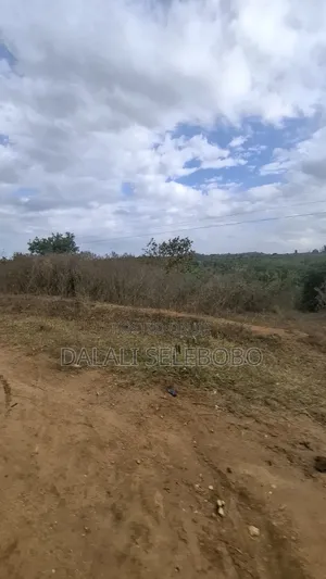 Plot 4 Gold Mining Hector 9 at Dodoma Bahi