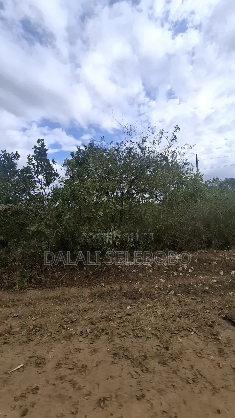 Plot 4 Gold Mining Hector 9 at Dodoma Bahi