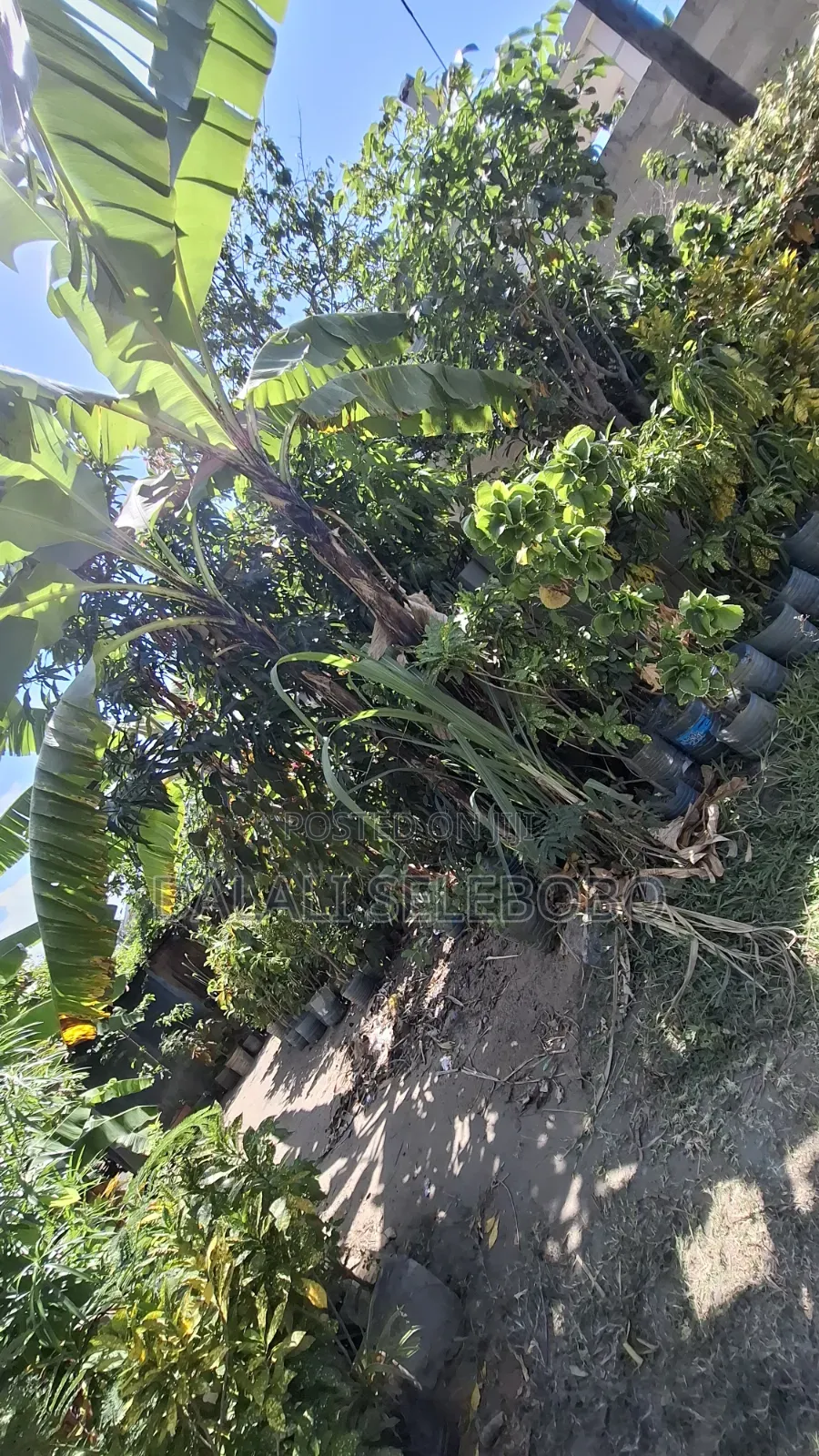 Plot 4 Gold Mining Hector 9 at Dodoma Bahi