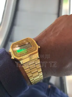 Casio Watch