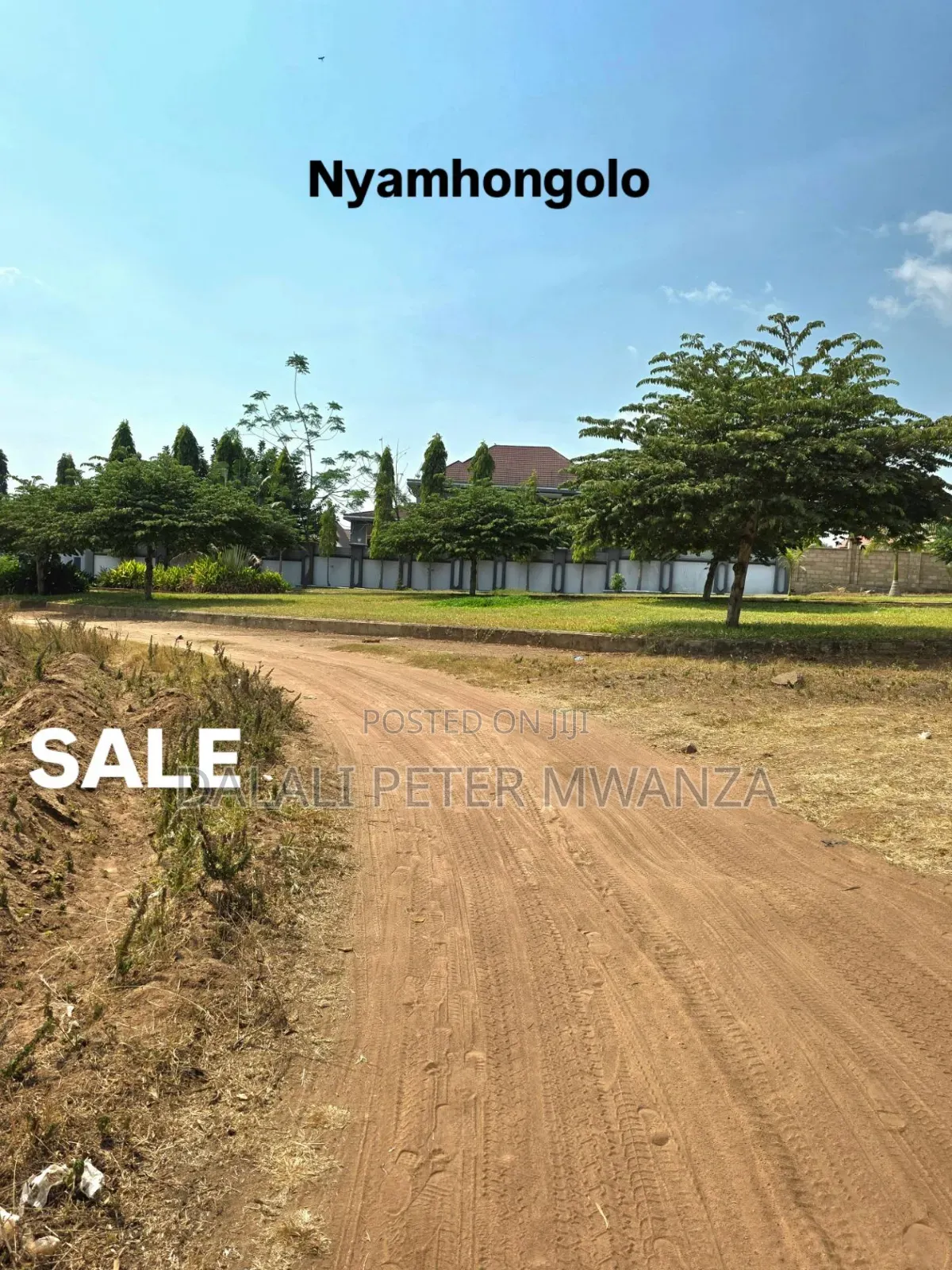 Nyamhongolo Ilemela