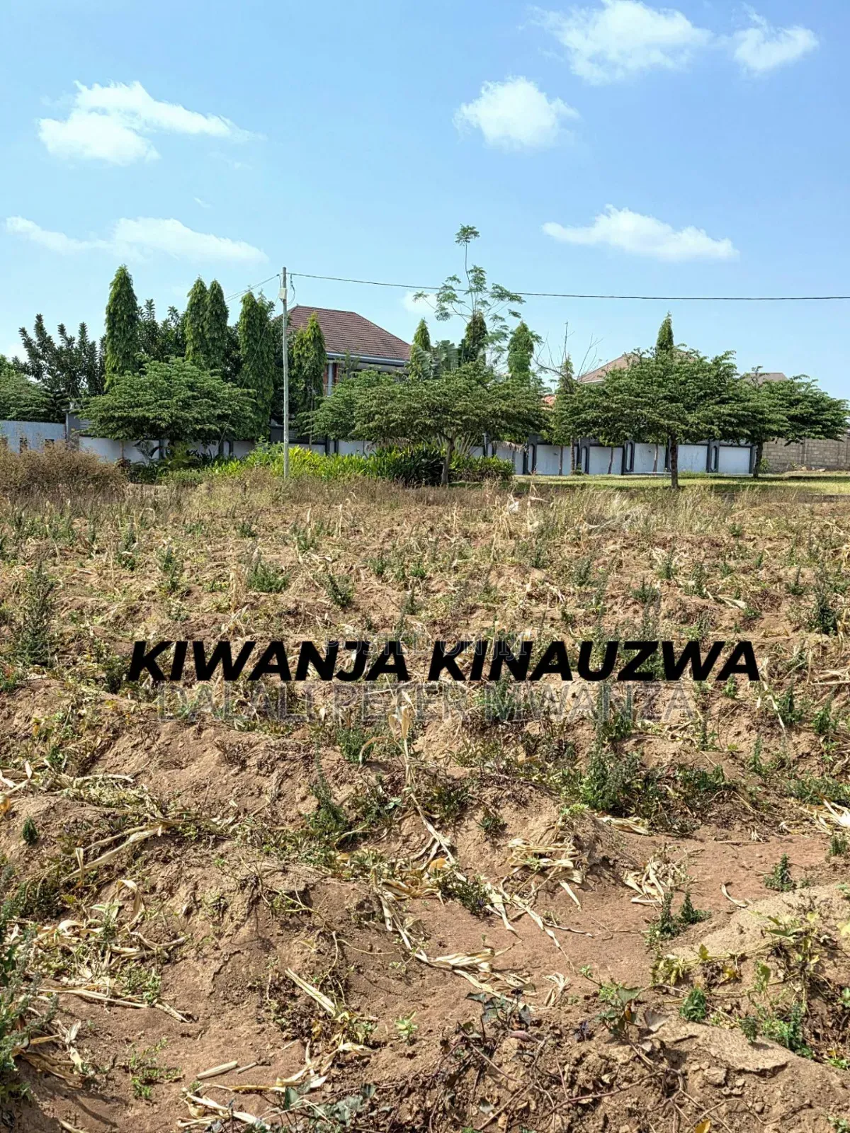 Nyamhongolo Ilemela
