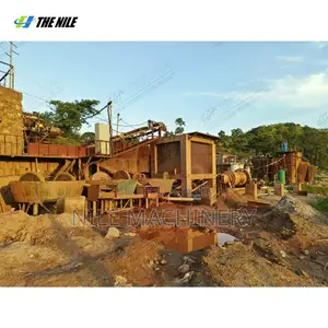 CIL Gold Extraction Plant 100TPD Carbon in Leach Mining Processing