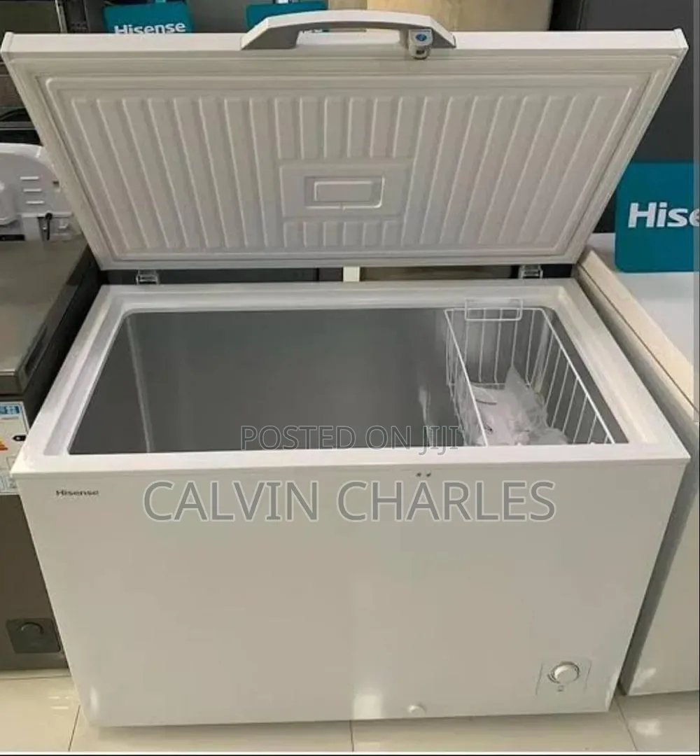 Hisense Freezer H 399- 300l