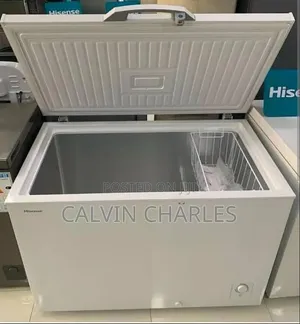 Hisense Freezer H 399- 300l