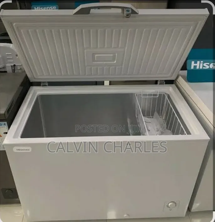 Hisense Freezer H 399- 300l