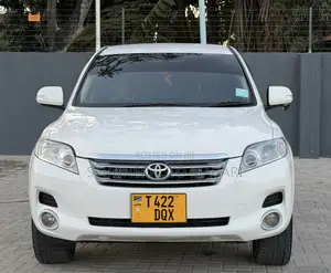 Toyota Vanguard 2009 Pearl