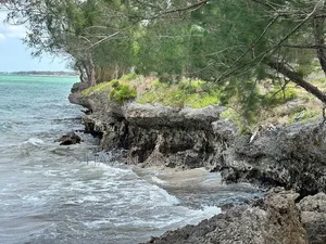 Beach Plot for Sale at Uroa Zanzibar