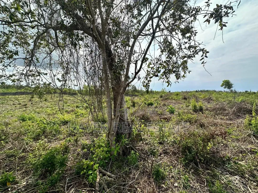 Beach Plot for Sale at Uroa Zanzibar
