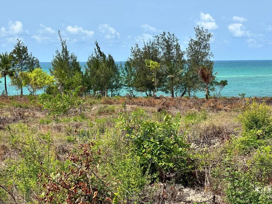 Beach Plot for Sale at Uroa Zanzibar