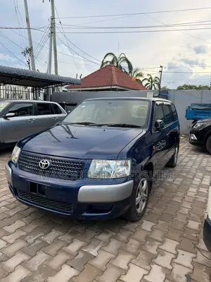 Toyota Succeed 2004 Blue