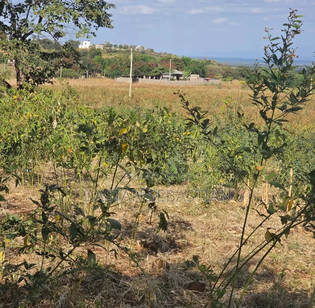 Kiseriani Kumenoga Tena