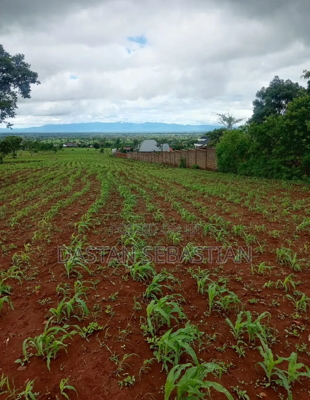 Kiseriani Kumenoga Tena