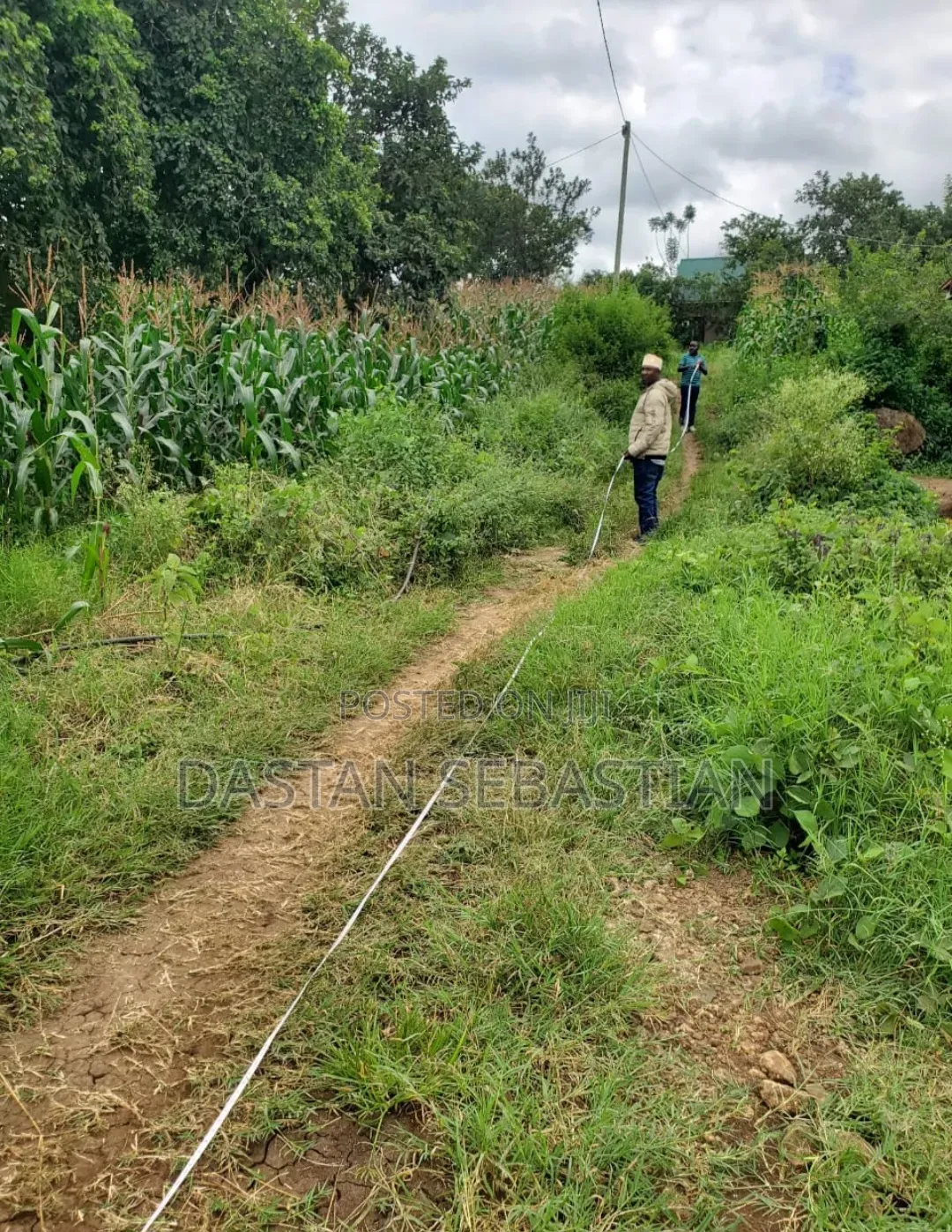 Kikatiti Laki Saba Tu