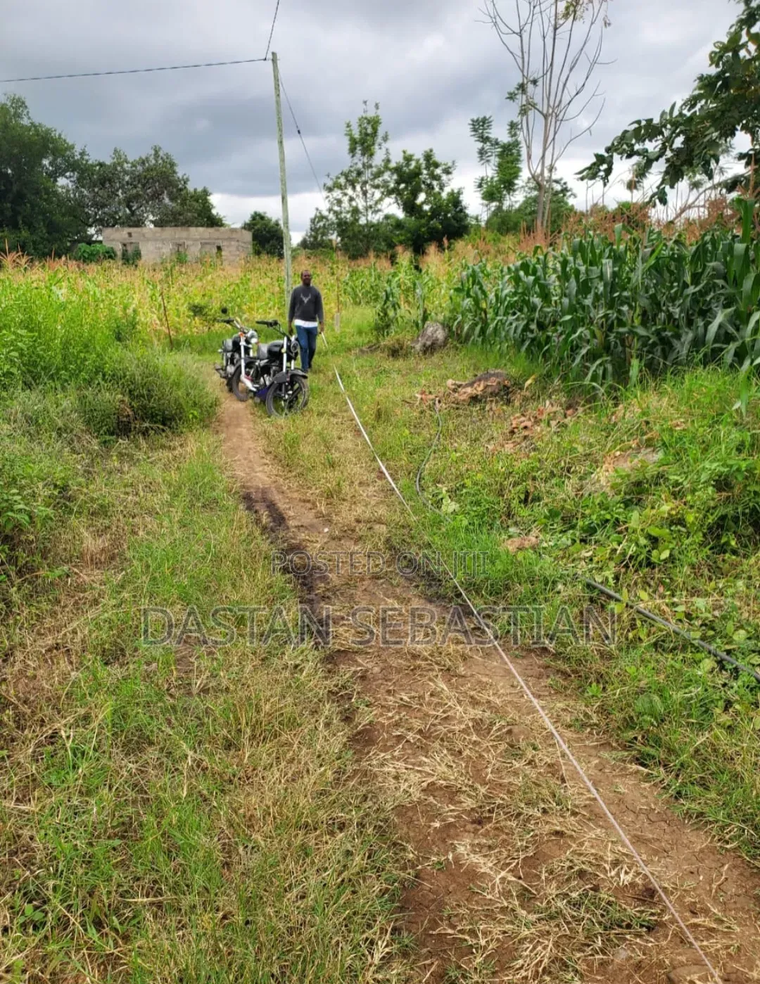 Kikatiti Laki Saba Tu