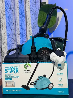 .Winning Star Steam Cleaner 1300watts.water Capacity Tank: 700ml