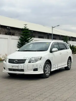 Toyota Corolla Fielder 2007 White