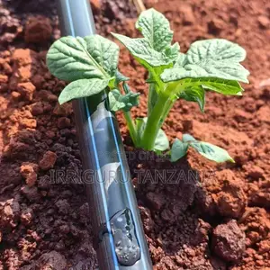 16mm Drip Irrigation