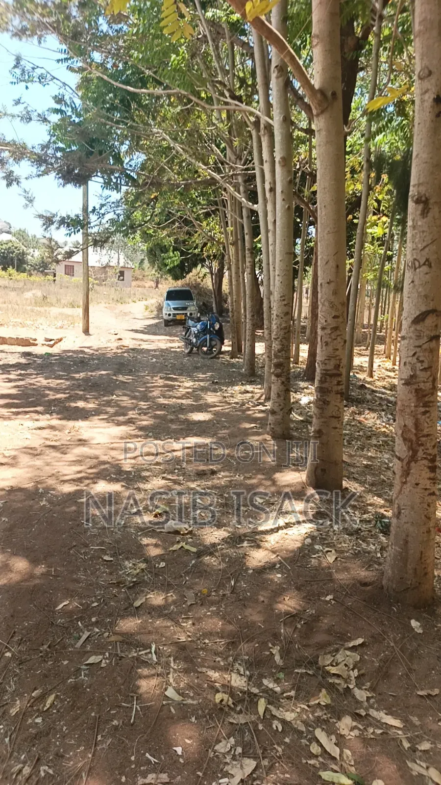 Shamba La Miti