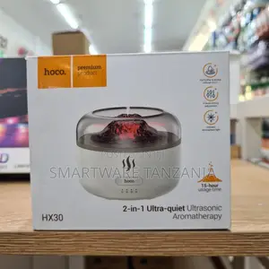 Hoco HX30 2-in-1 Ultrasonic Aromatherapy Diffuser With 15-Hour Usage