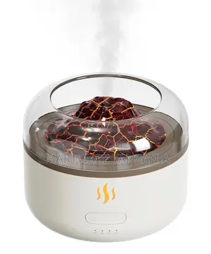 Hoco HX30 2-in-1 Ultrasonic Aromatherapy Diffuser With 15-Hour Usage