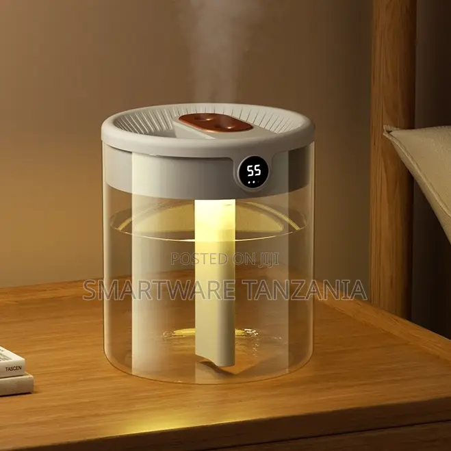 Hoco HX31 Dual Spray Digital Nano Humidifier With LED Display, 20 HRS