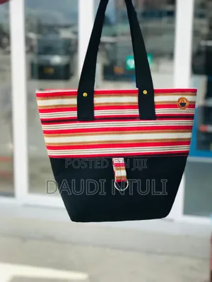 Sapro Bag, Durable Lady Bag
