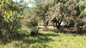 Plot for Sale at Mikocheni Near Plam Village