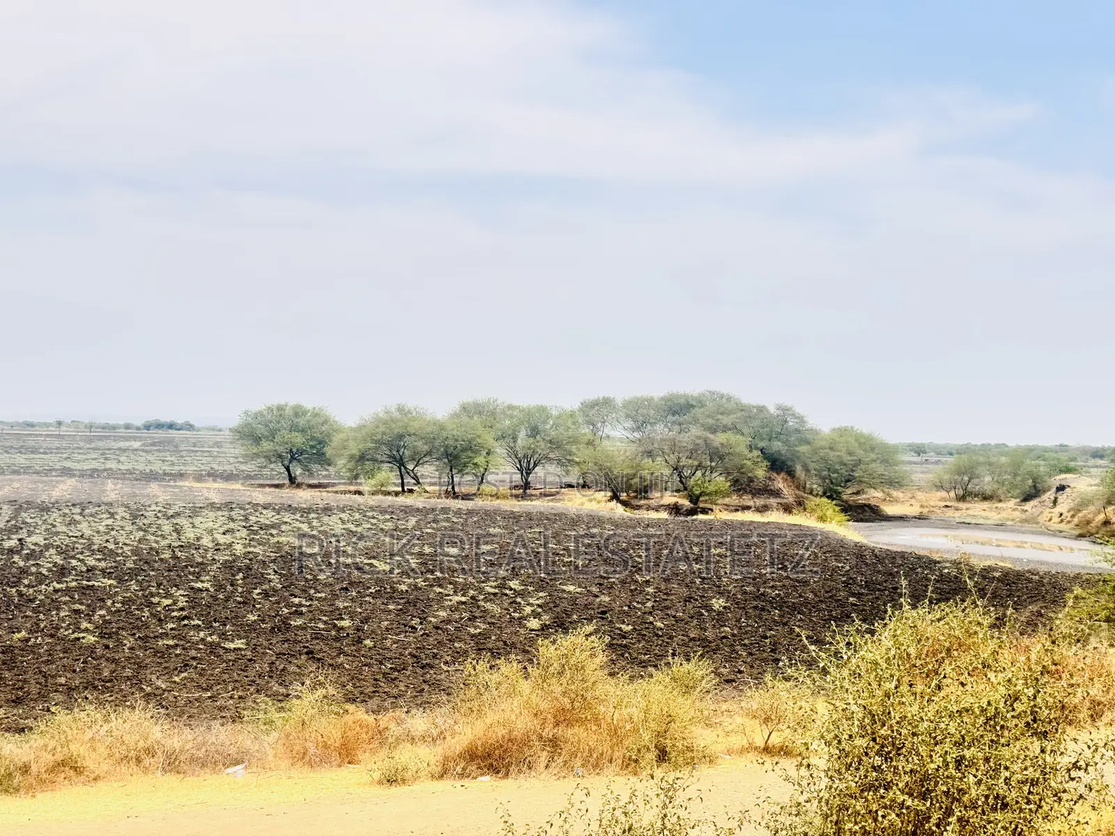 Shamba La Kilimo Linauzwa Magu