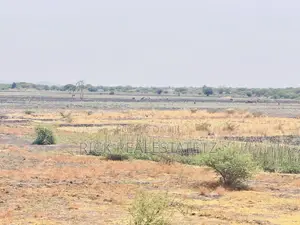 Shamba La Kilimo Linauzwa Magu