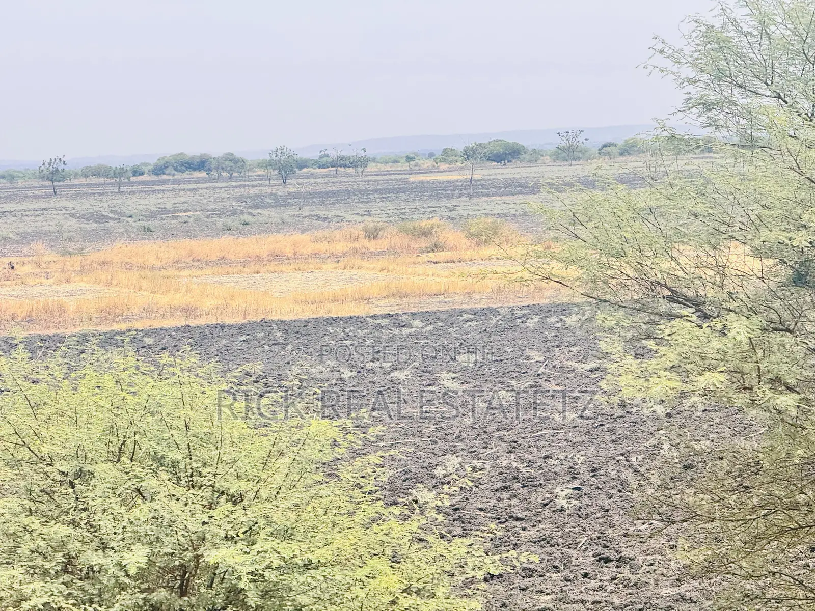 Shamba La Kilimo Linauzwa Magu