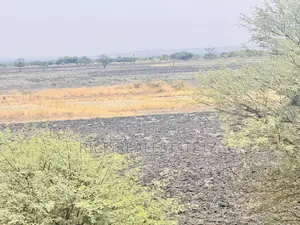Shamba La Kilimo Linauzwa Magu