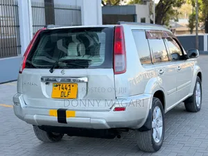 Nissan X-Trail 2.0 2005 Silver