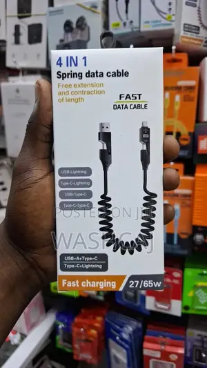 4-in-1 Spring Fast Data Cable With 65W Fast Charging