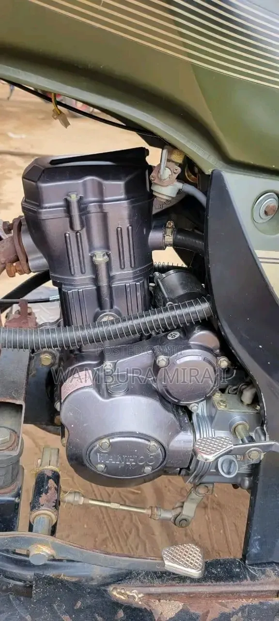 Bajaj 2025 Green