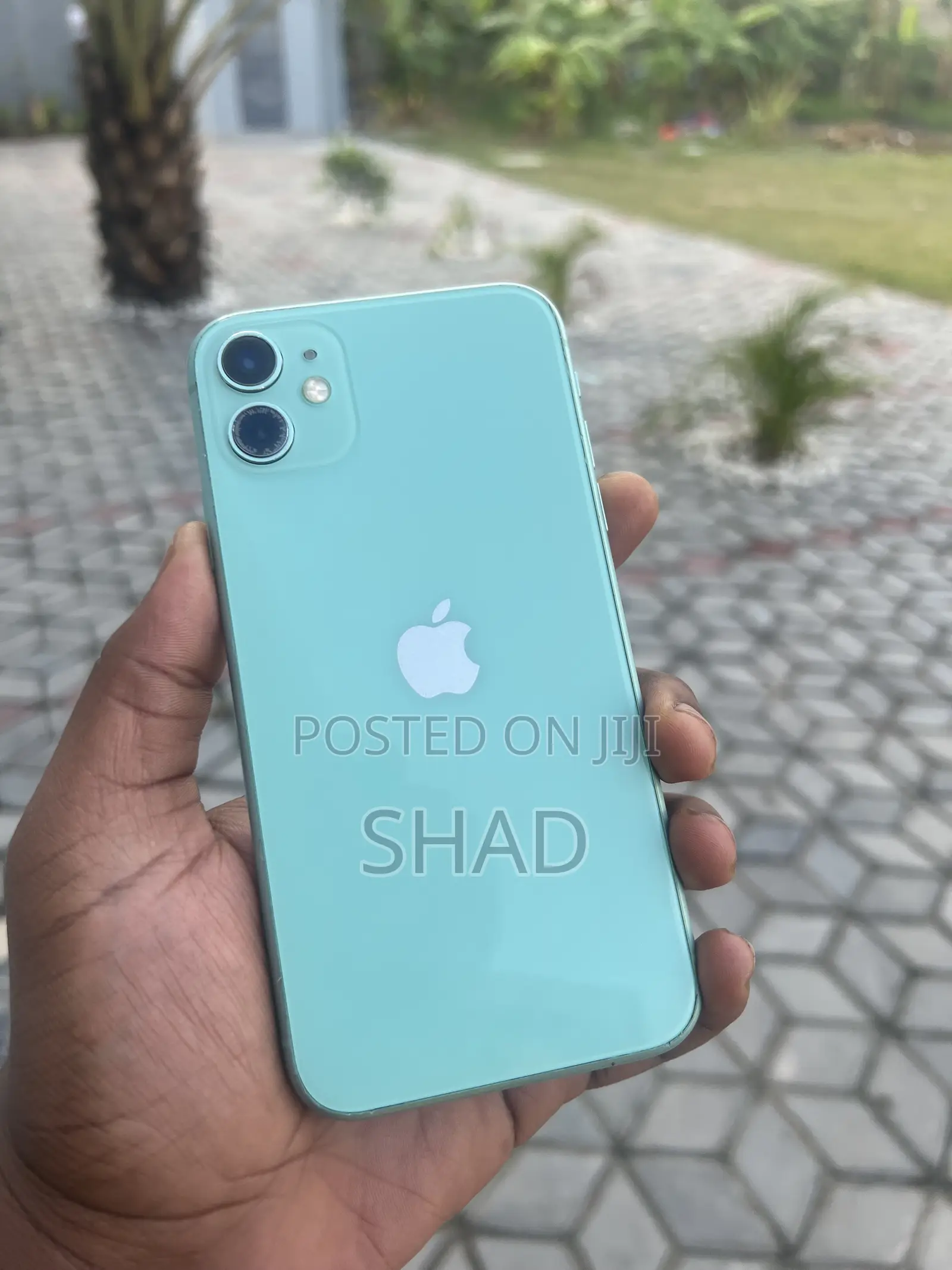 Apple iPhone 11 64 GB Green