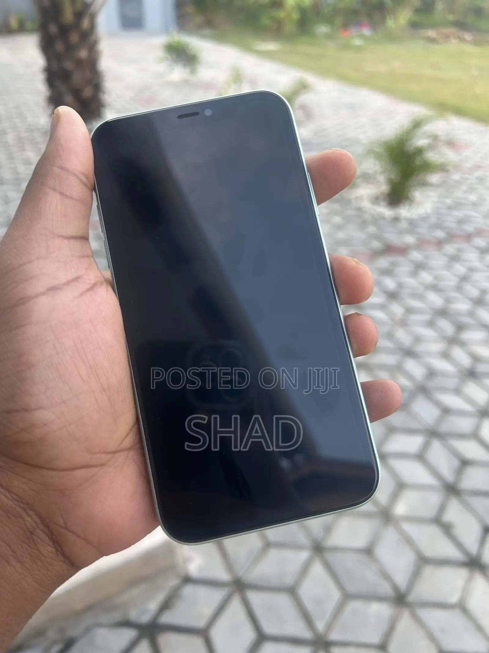 Apple iPhone 11 64 GB Green
