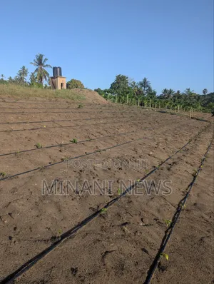 Shamba Kiwanja _ Msanga Sokoni