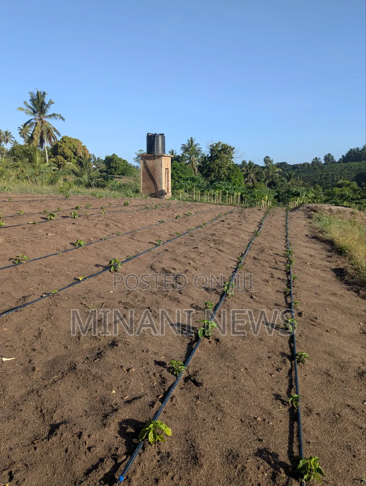 Shamba Kiwanja _ Msanga Sokoni