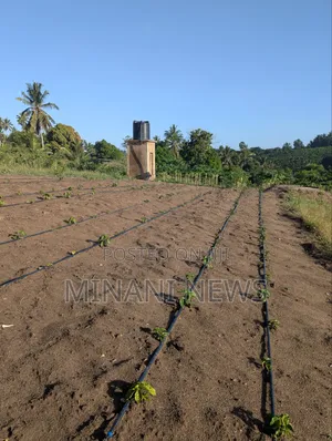 Shamba Kiwanja _ Msanga Sokoni