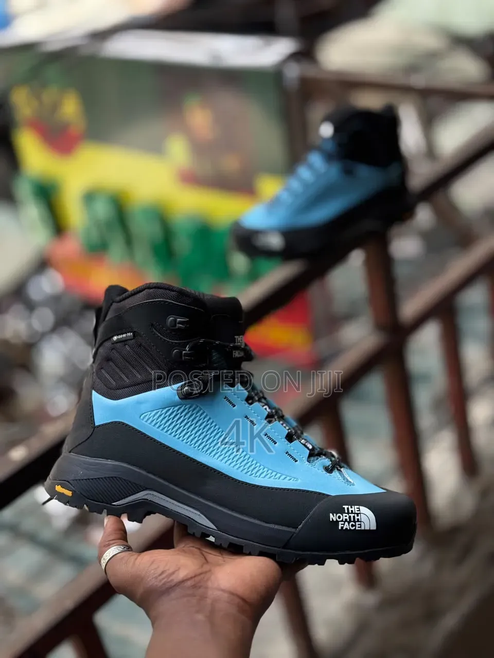 Northface Sneakers