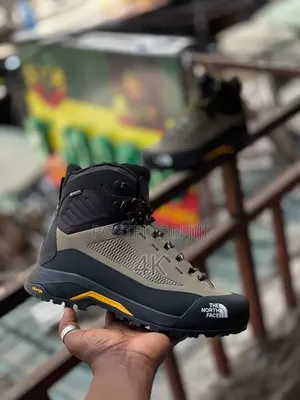 Northface Sneakers