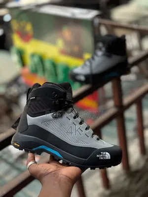 Northface Sneakers